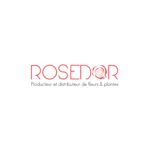 Rosedor